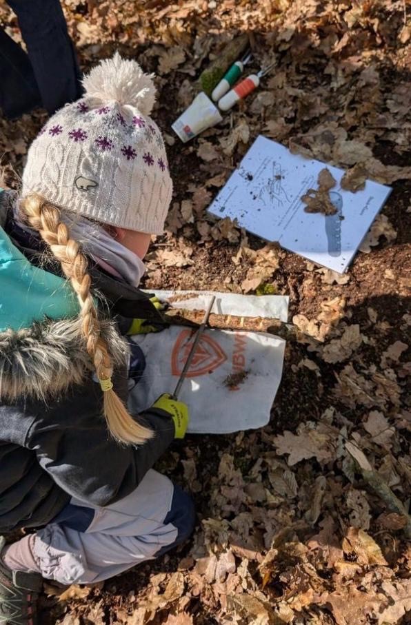 Walddetektive – Rückblick ins Schuljahr 2025/2026